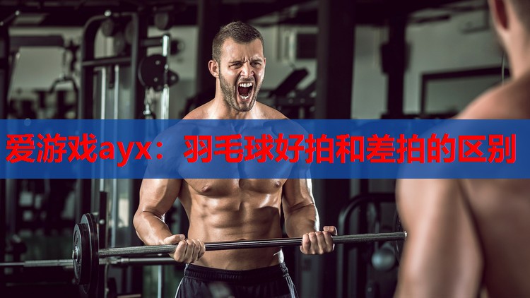 爱游戏ayx：羽毛球好拍和差拍的区别
