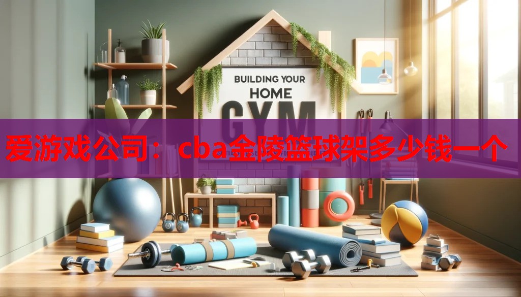 爱游戏公司：cba金陵篮球架多少钱一个