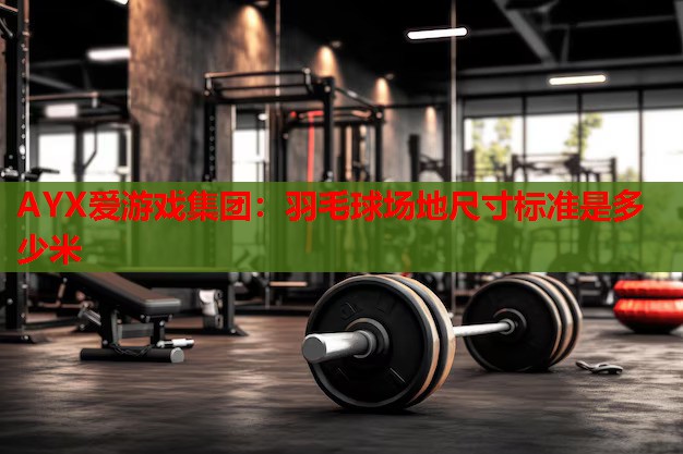 AYX爱游戏集团：羽毛球场地尺寸标准是多少米