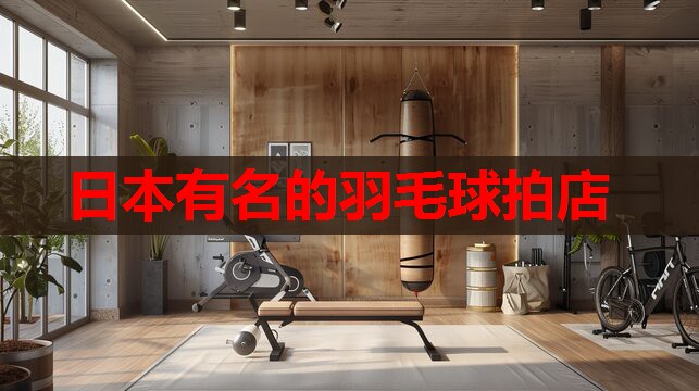 日本有名的羽毛球拍店