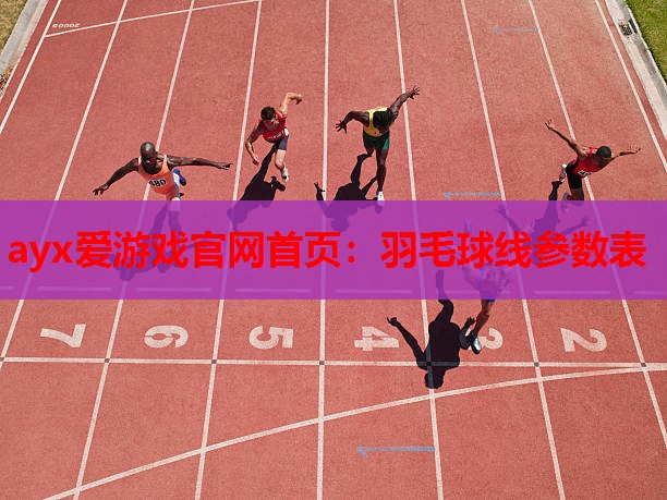 ayx爱游戏官网首页：羽毛球线参数表