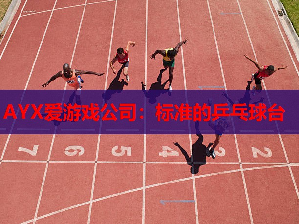 AYX爱游戏公司：标准的乒乓球台