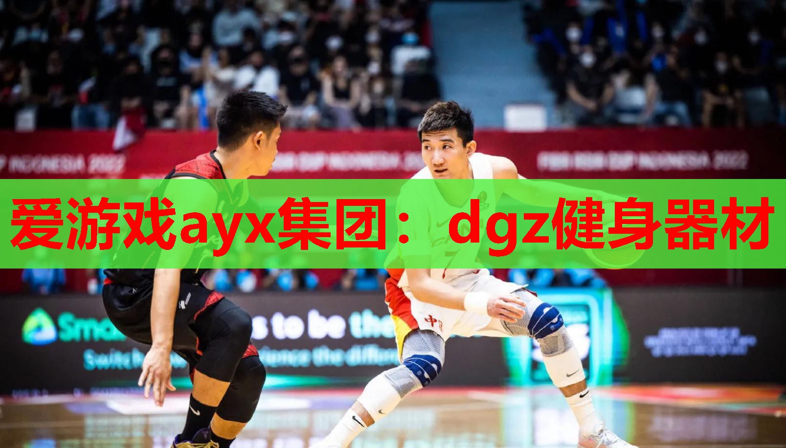 爱游戏ayx集团：dgz健身器材