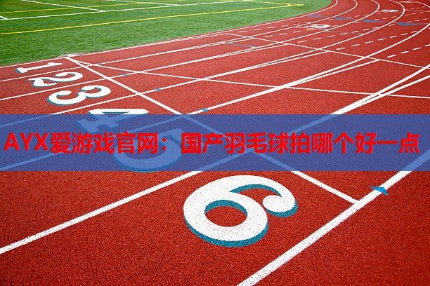 AYX爱游戏官网：国产羽毛球拍哪个好一点