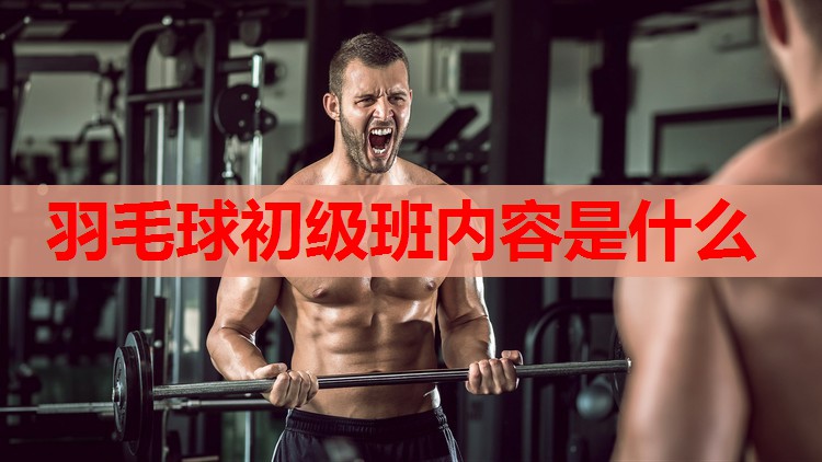 羽毛球初级班内容是什么