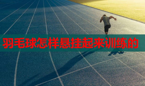 羽毛球怎样悬挂起来训练的