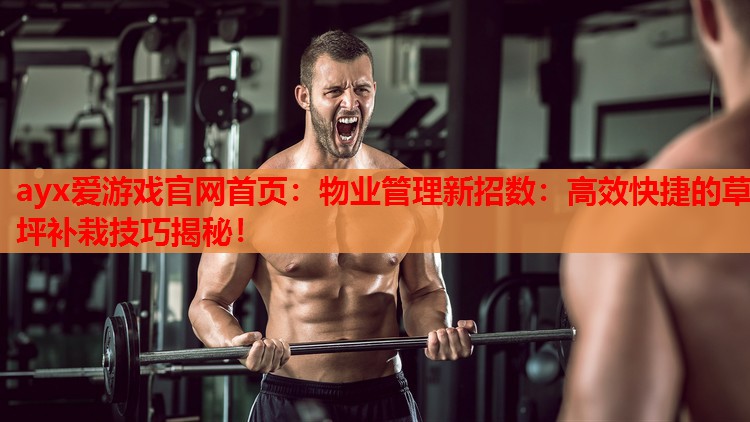 ayx爱游戏官网首页：物业管理新招数：高效快捷的草坪补栽技巧揭秘！