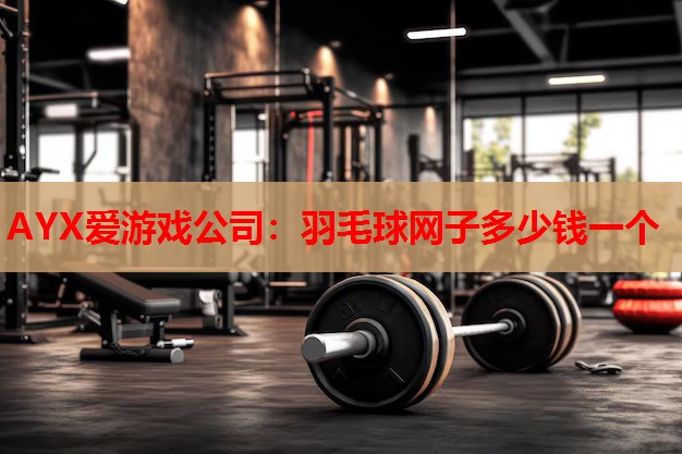 AYX爱游戏公司：羽毛球网子多少钱一个