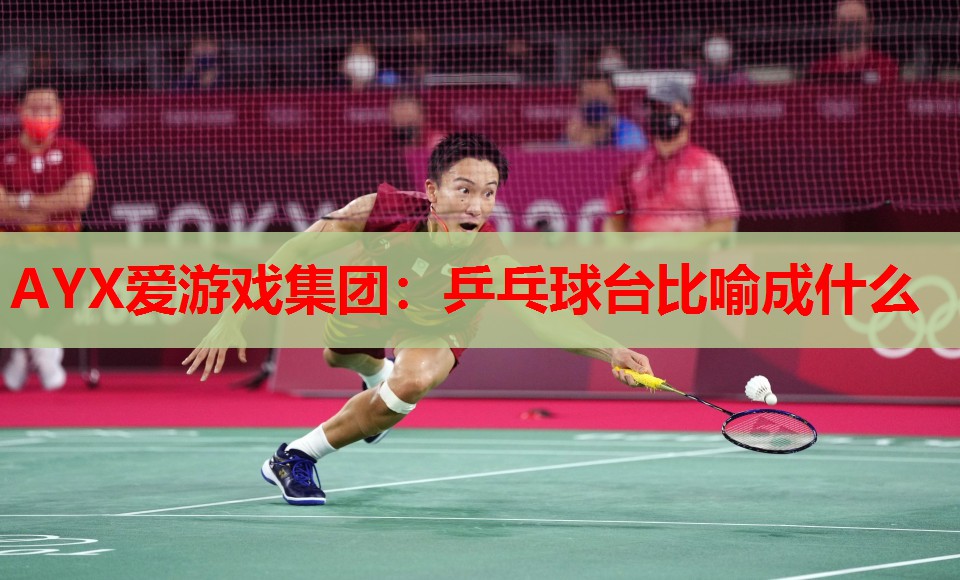 乒乓球台比喻成什么 乒乓球台比喻成什么