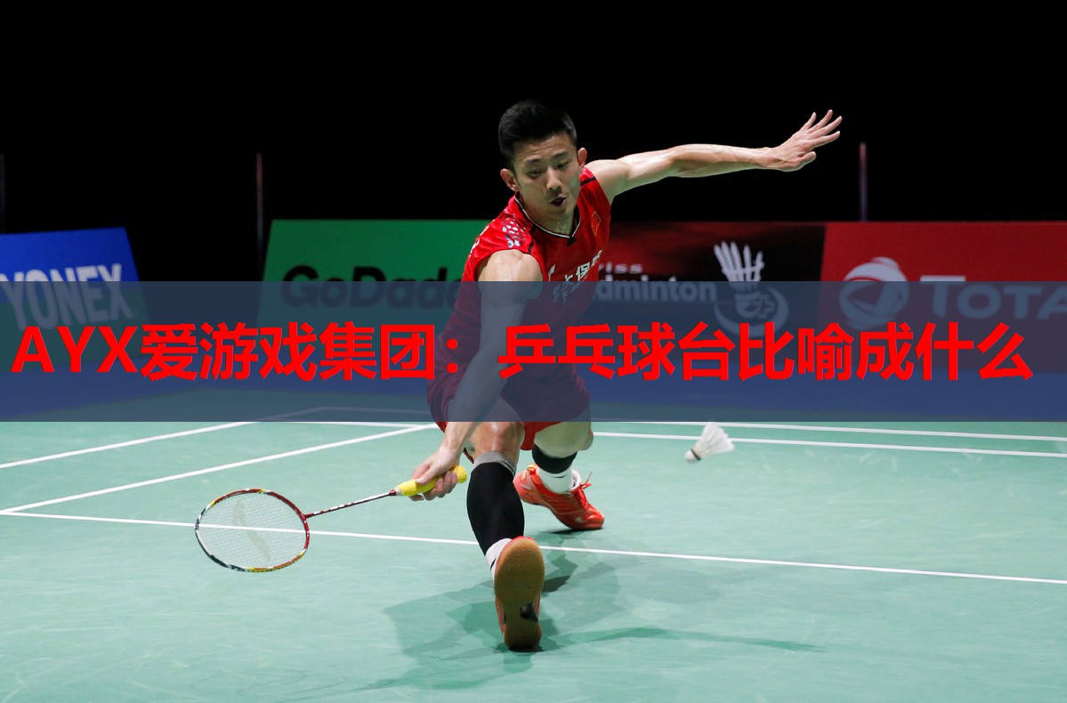 乒乓球台比喻成什么 乒乓球台比喻成什么