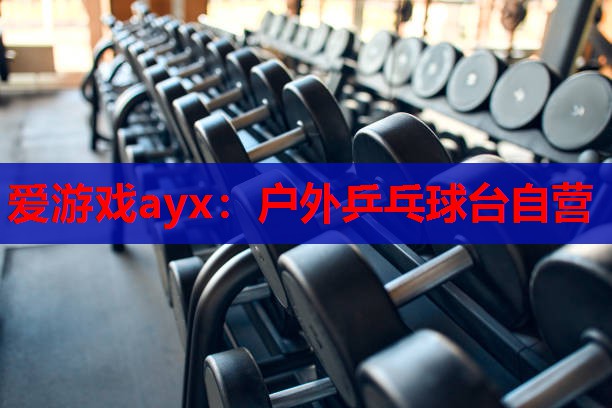 户外乒乓球台自营 户外乒乓球台自营
