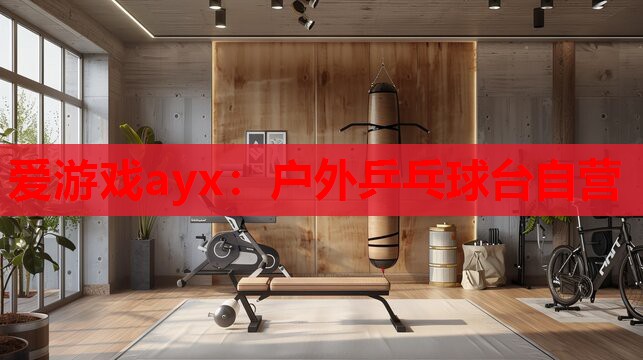 户外乒乓球台自营 户外乒乓球台自营