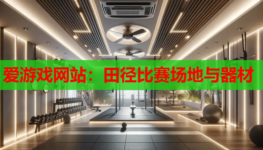 田径比赛场地与器材 田径比赛场地与器材