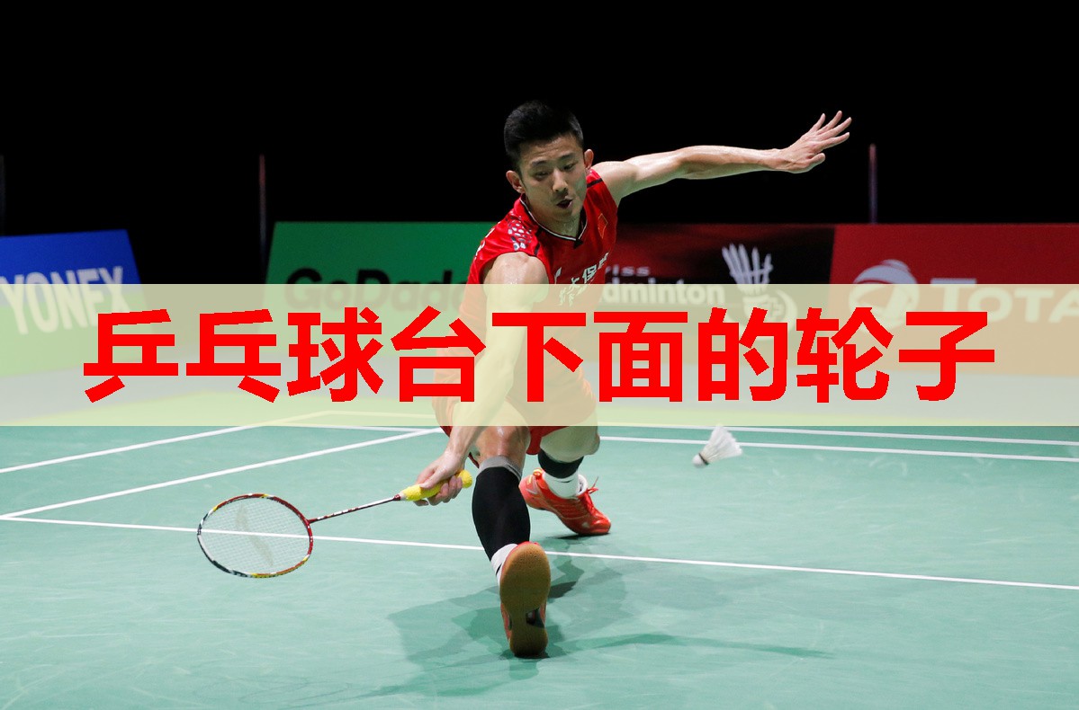 乒乓球台下面的轮子 乒乓球台下面的轮子