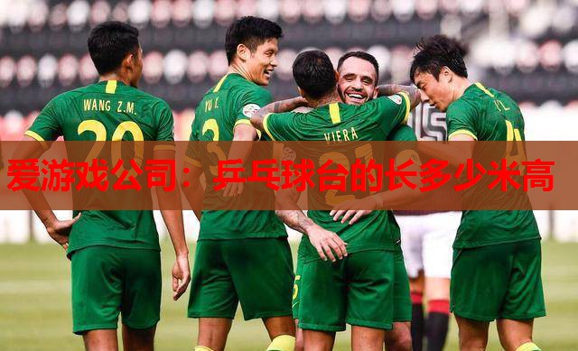 乒乓球台的长多少米高 乒乓球台的长多少米高