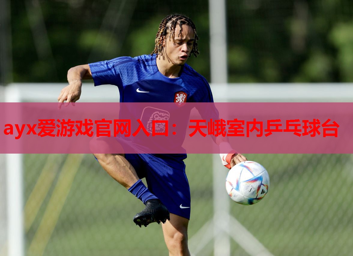 天峨室内乒乓球台 天峨室内乒乓球台