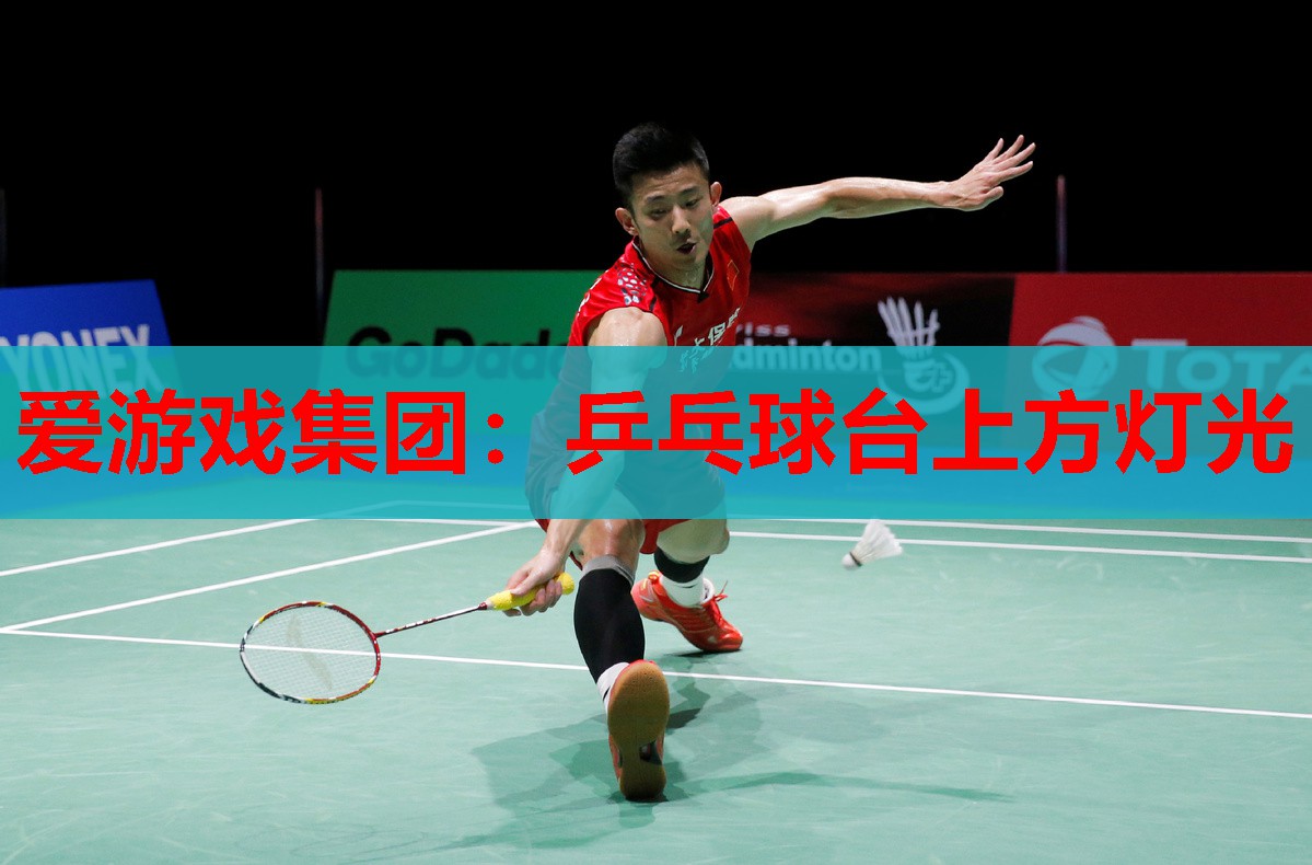 乒乓球台上方灯光 乒乓球台上方灯光
