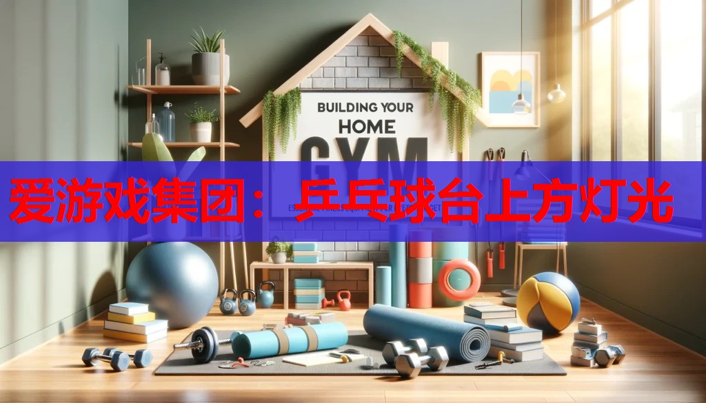 乒乓球台上方灯光 乒乓球台上方灯光