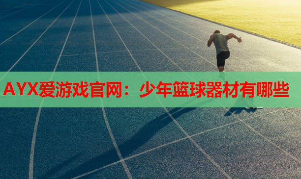 少年篮球器材有哪些 少年篮球器材有哪些