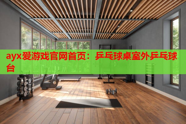 乒乓球桌室外乒乓球台 乒乓球桌室外乒乓球台