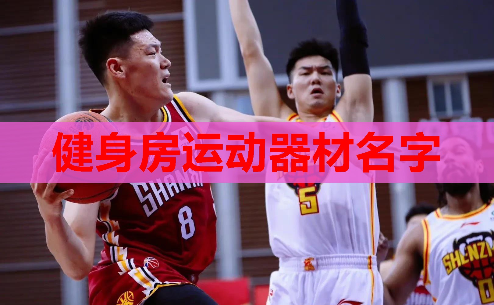 健身房运动器材名字 健身房运动器材名字