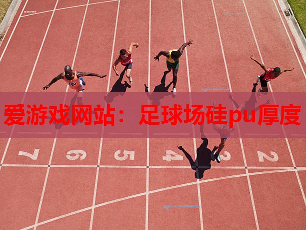 足球场硅pu厚度 足球场硅pu厚度