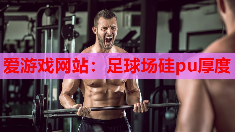 足球场硅pu厚度 足球场硅pu厚度