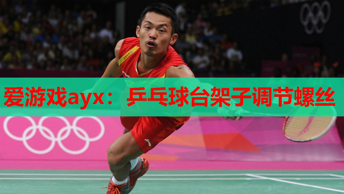 乒乓球台架子调节螺丝 乒乓球台架子调节螺丝