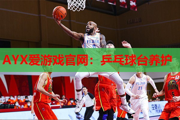 乒乓球台养护 乒乓球台养护