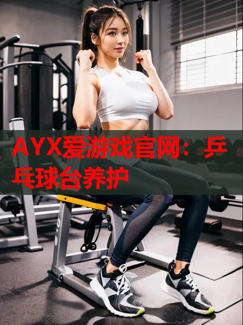 乒乓球台养护 乒乓球台养护