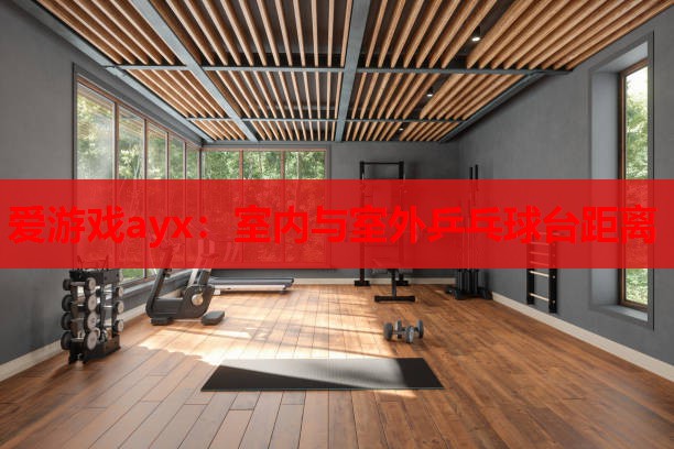 室内与室外乒乓球台距离 室内与室外乒乓球台距离