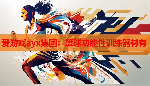 篮球功能性训练器材有 篮球功能性训练器材有