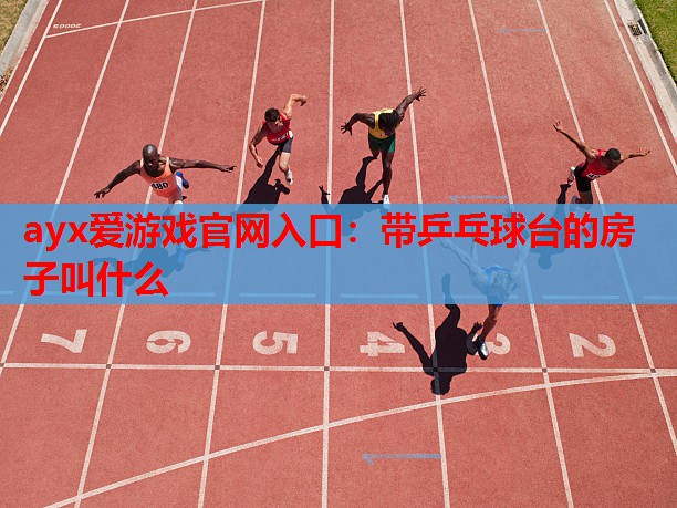 带乒乓球台的房子叫什么 带乒乓球台的房子叫什么