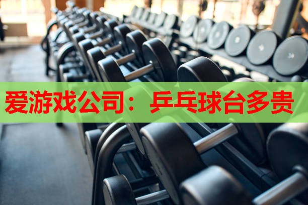 乒乓球台多贵 乒乓球台多贵