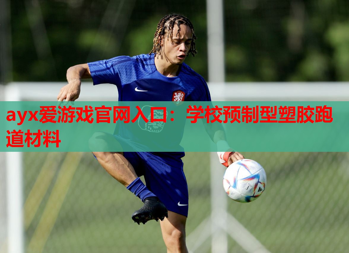 学校预制型塑胶跑道材料 学校预制型塑胶跑道材料