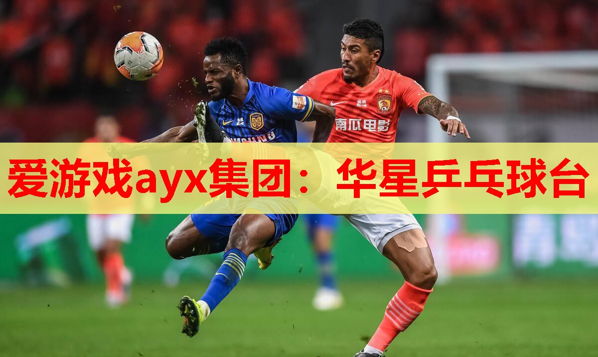 华星乒乓球台 华星乒乓球台