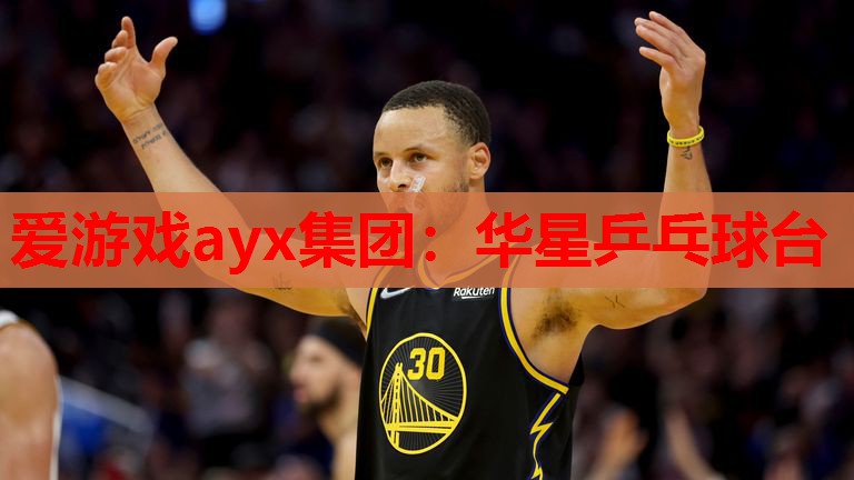 华星乒乓球台 华星乒乓球台
