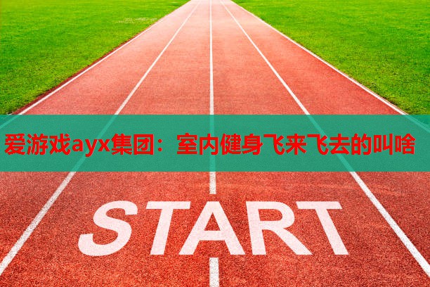 室内健身飞来飞去的叫啥 室内健身飞来飞去的叫啥