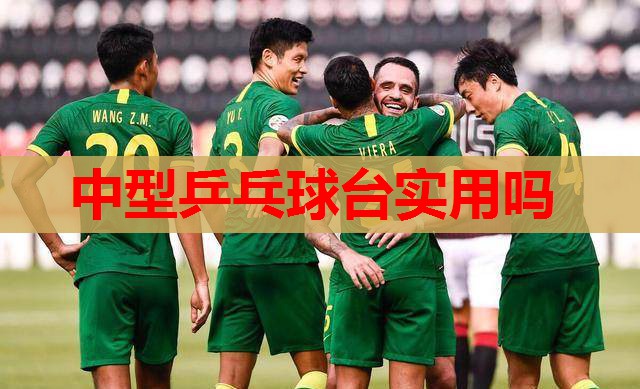 中型乒乓球台实用吗 中型乒乓球台实用吗