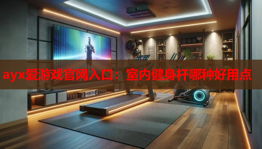 室内健身杆哪种好用点 室内健身杆哪种好用点