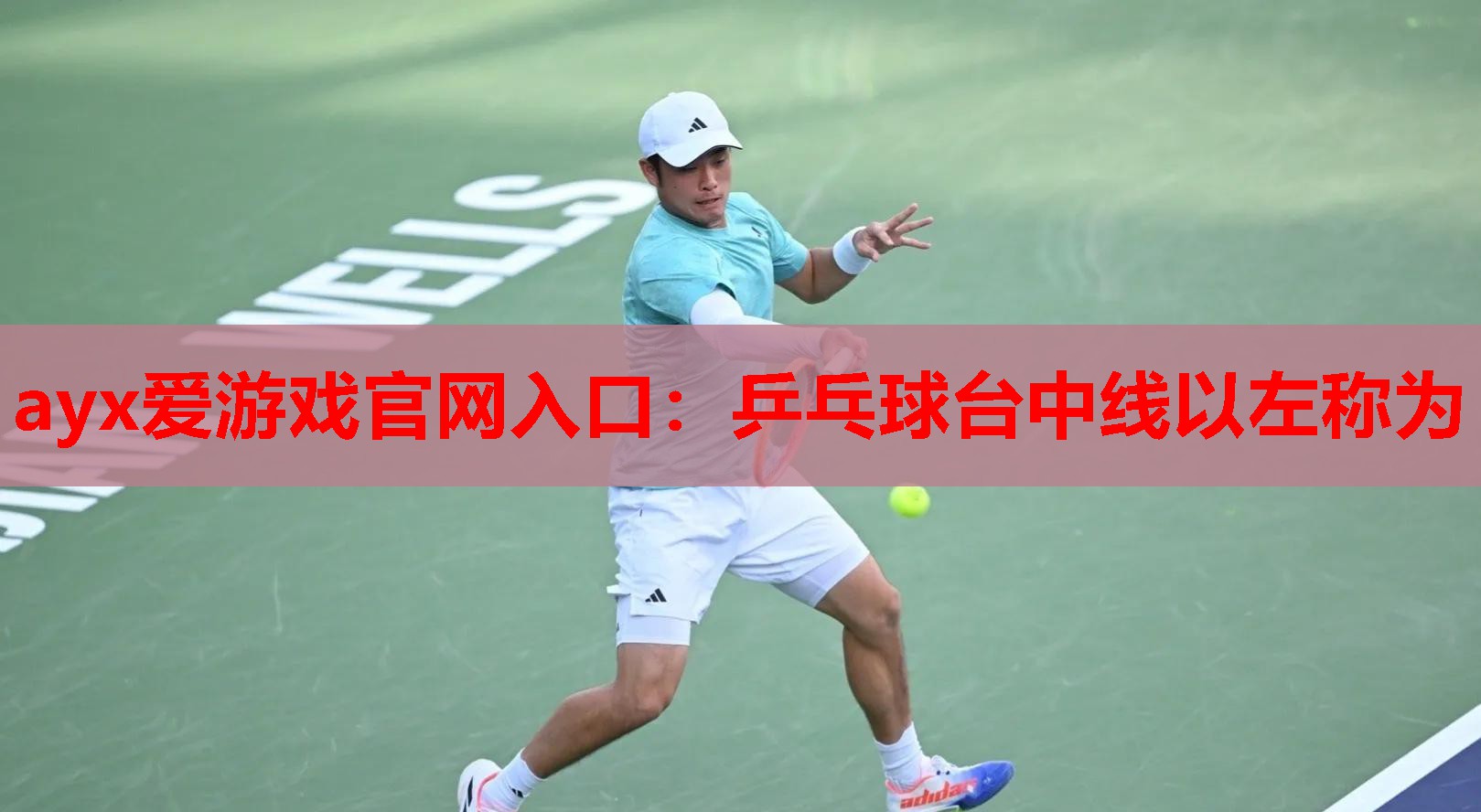 乒乓球台中线以左称为 乒乓球台中线以左称为