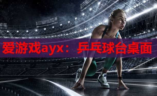 乒乓球台桌面 乒乓球台桌面
