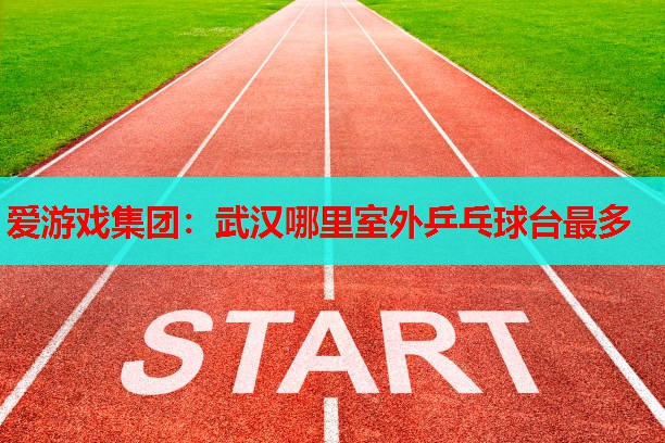 武汉哪里室外乒乓球台最多 武汉哪里室外乒乓球台最多