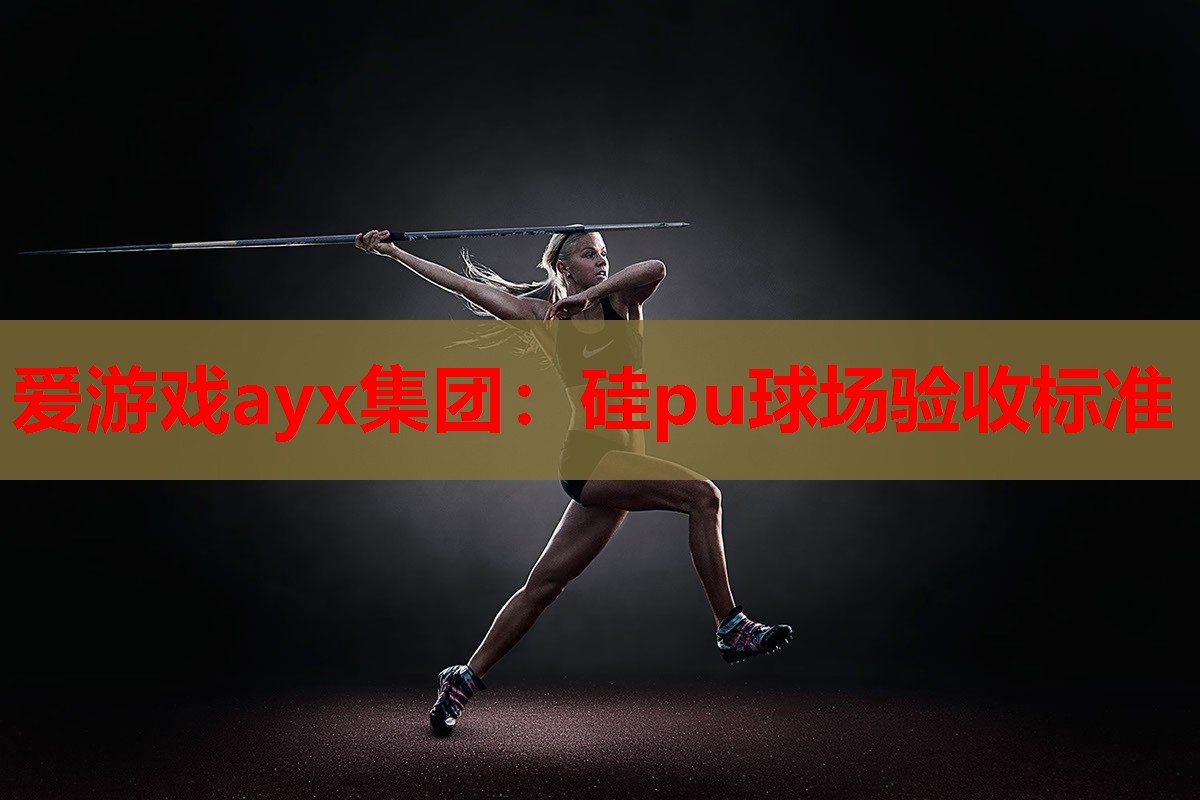 硅pu球场验收标准 硅pu球场验收标准