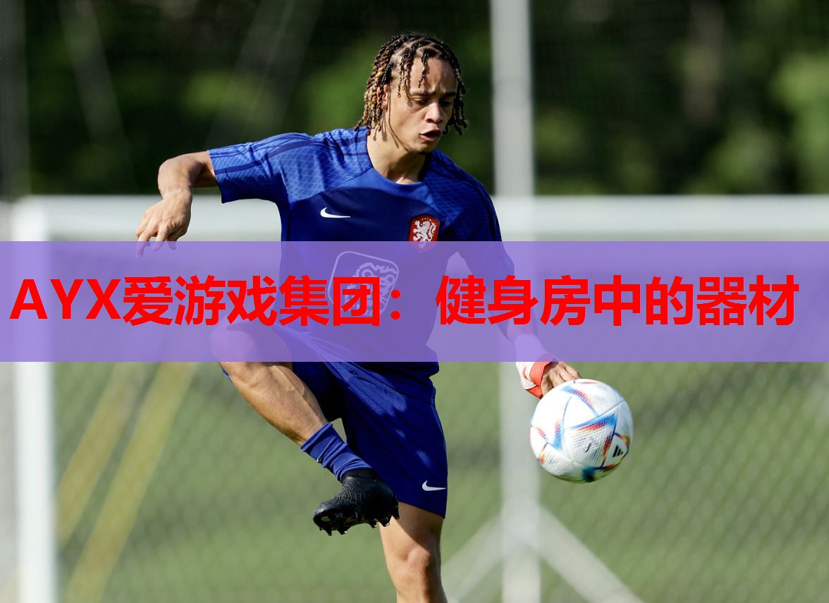 健身房中的器材 健身房中的器材
