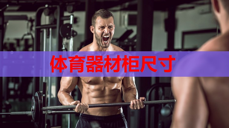 体育器材柜尺寸 体育器材柜尺寸