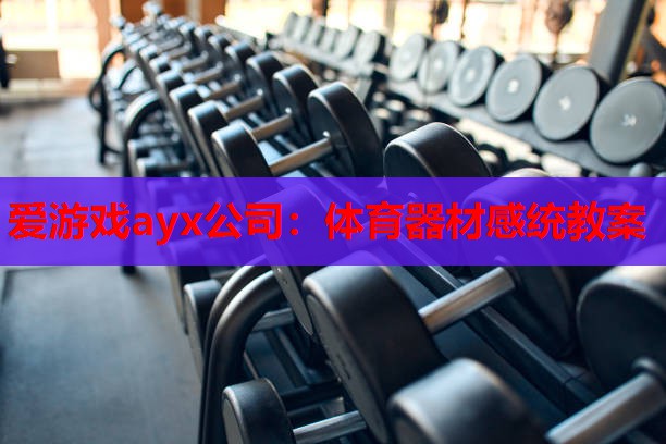体育器材感统教案 体育器材感统教案