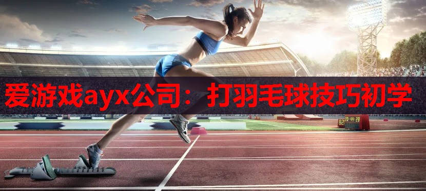 打羽毛球技巧初学 打羽毛球技巧初学
