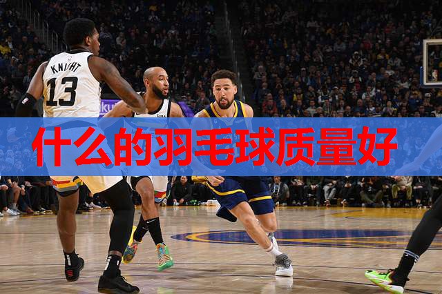什么的羽毛球质量好 什么的羽毛球质量好