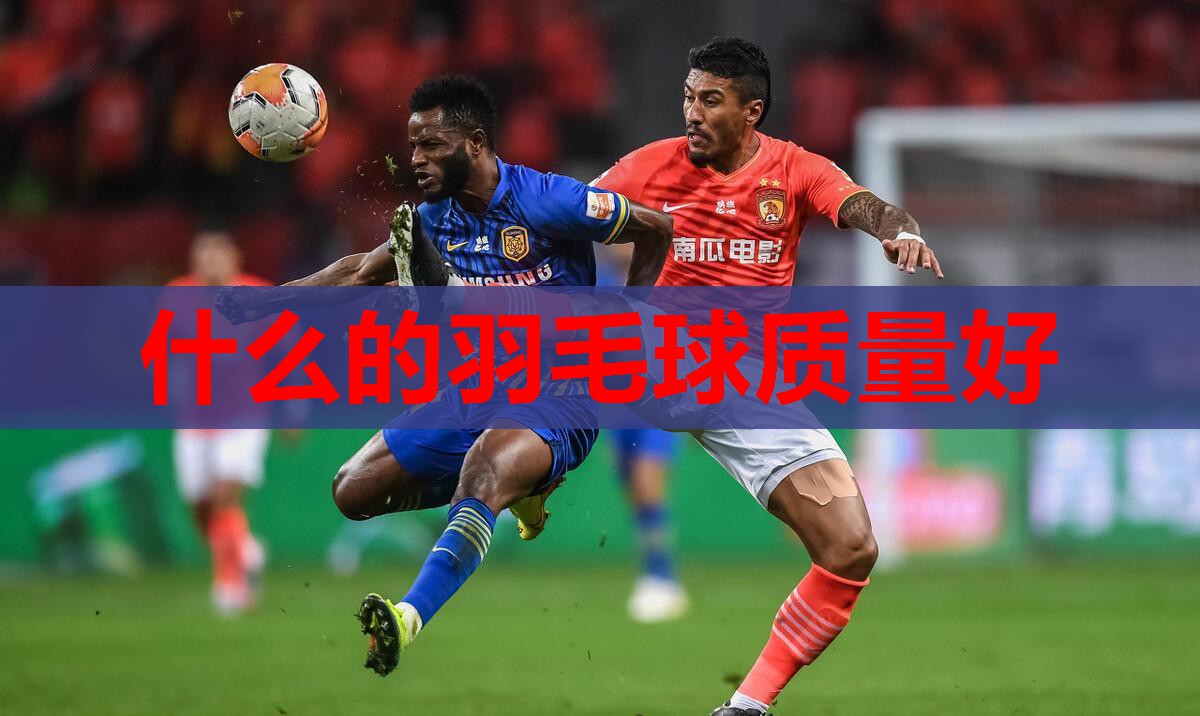 什么的羽毛球质量好 什么的羽毛球质量好
